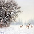 Three is Company