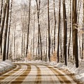 Winter Road through the Forest